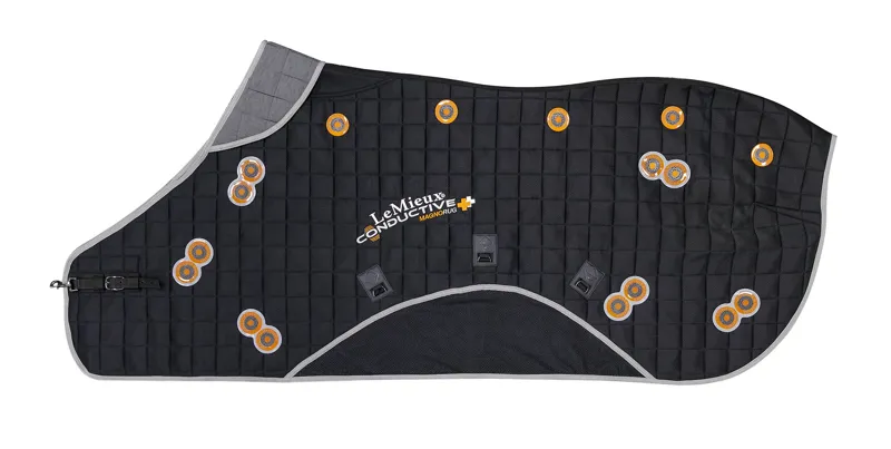 LeMieux Conductive Magno Rug -1